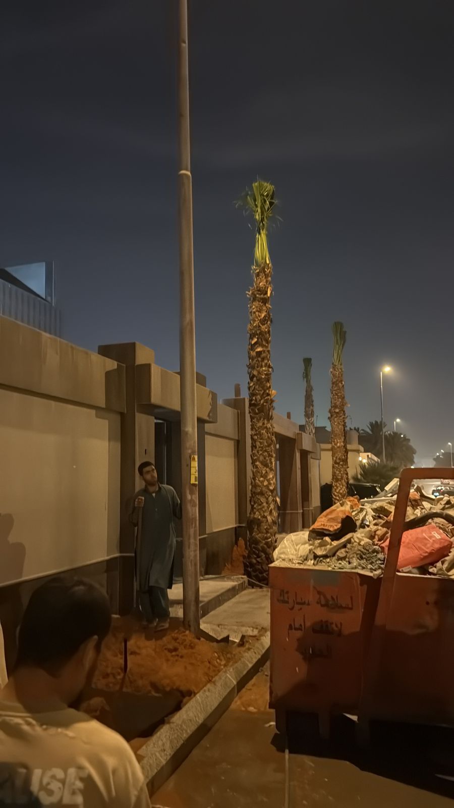 زراعة نخيل والعناية به بعد الزراعة